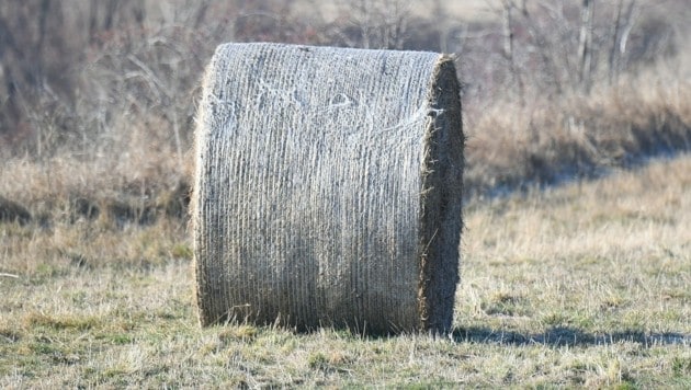 Bei der Heuernte kam es zum Unfall. (Bild: P. Huber)