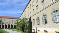 Der Ortschef musste sich am Landesgericht Krems verantworten. 
