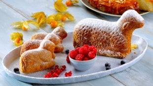 (Bild: chetianu - stock.adobe.com)