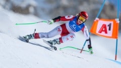Elisabeth Reisinger hört auf. (Bild: GEPA)